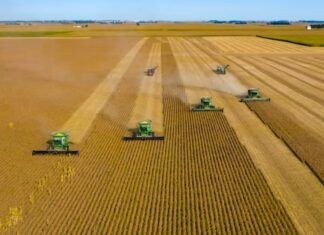 Economia verde impulsiona inovação no agronegócio brasileiro