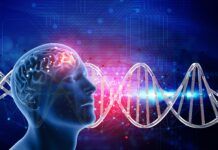 Neurociência pode potencializar as vendas, diz trainer
