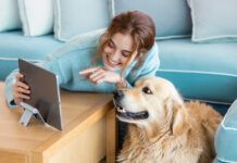 Pet Tech investe em rede social, premiação e associação