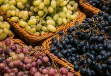 Variedade de uvas afeta sabor e aroma de vinhos