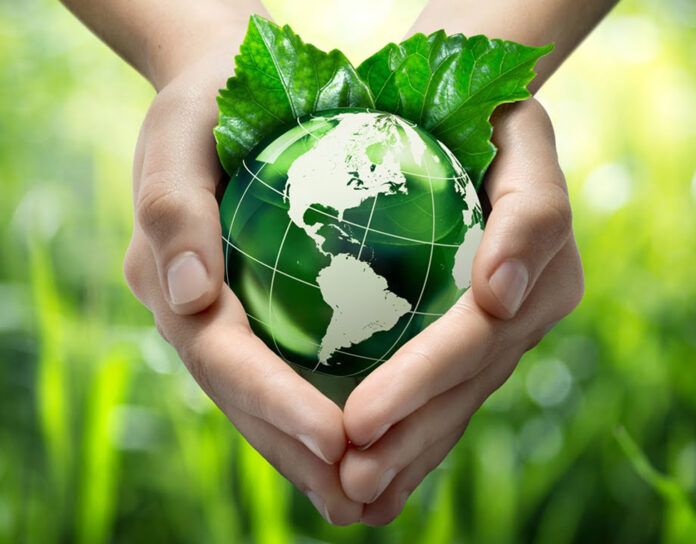 Dia Mundial do Meio ambiente é comemorado em 5 de junho