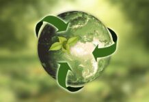 Indústria de plástico corrugado adota práticas sustentáveis