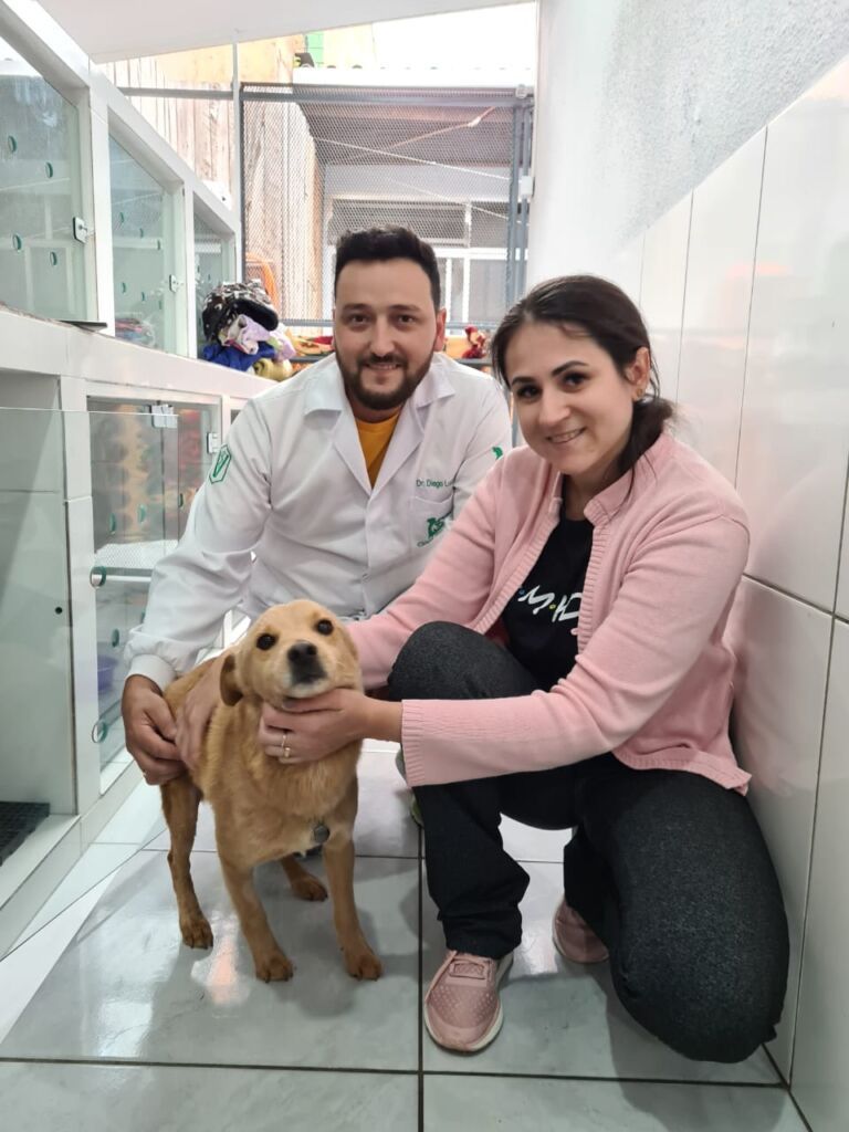 Fort doa para ONG que cuida de animais em Canoas valor que era destinado a queima de fogos de artifício em inaugurações