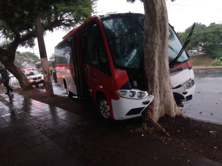 Microônibus bate contra árvore; Motorista ficou ferido
