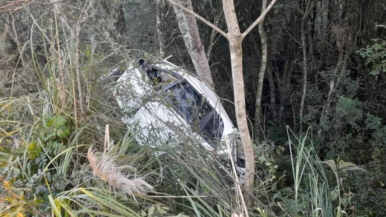 Motorista morre após perder o controle e colidir veículo contra árvore