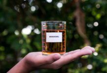 Uso do biodiesel gera economia e benefícios ao país