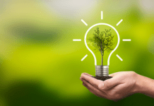 Dia Mundial do Meio Ambiente chama atenção a soluções para poluição plástica
