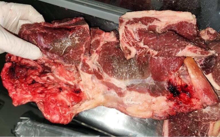 Mercado é flagrado vendendo carnes estragadas