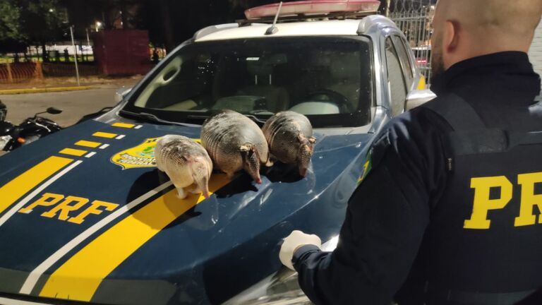 Caçador de tatus é preso pela polícia