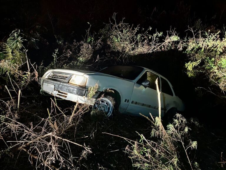 Motorista foge da Brigada Militar e acaba perdendo controle do carro na BR-116