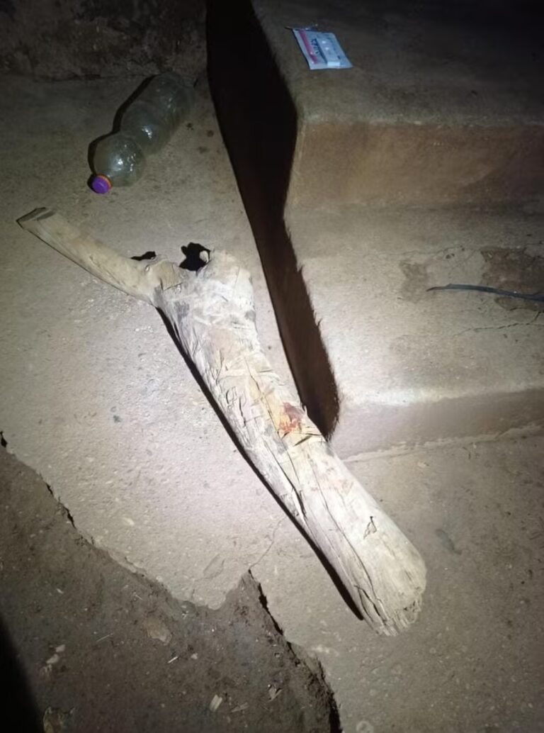 CRIME BRUTAL: Irmãos matam mulher a pauladas e acabam presos