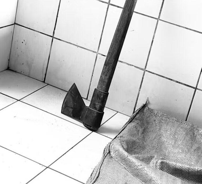 CRIME BRUTAL: Bebê de 23 dias é morto a machadadas pela mãe