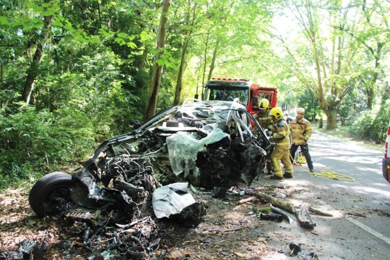 CANOAS: Homem morre após carro colidir contra árvore e pegar fogo