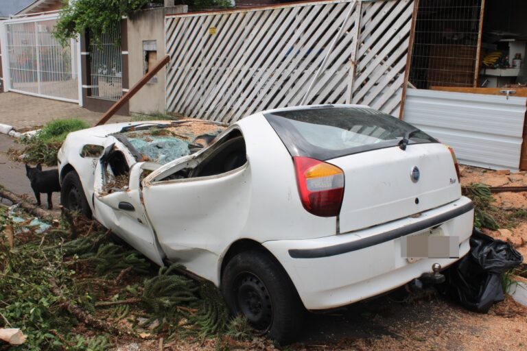 CANOAS: Carro fica destruído após queda de árvore