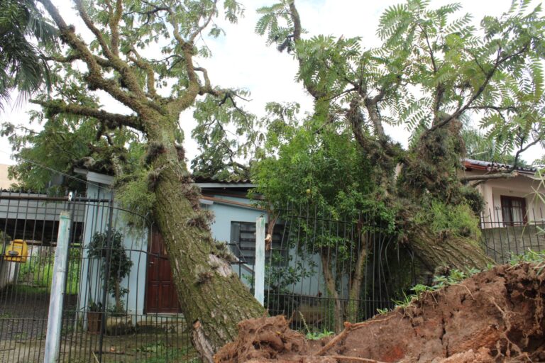CANOAS: Começa cadastro do FGTS para moradores atingidos pelo temporal; Saiba mais