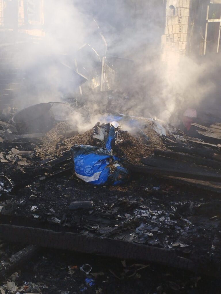 CANOAS: Lar temporário para cães é destruído por incêndio; Saiba como ajudar