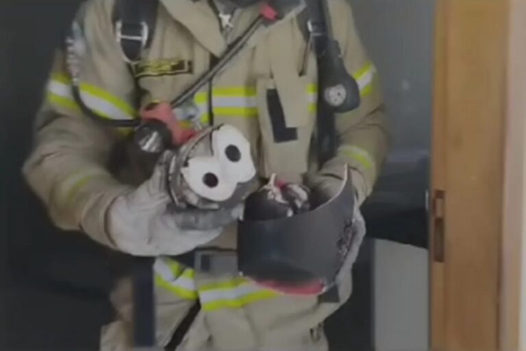 FOGO: Mulher esquece air fryer ligada e causa incêndio em casa