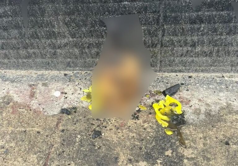 MACABRO: Insatisfeita com demissão, ex-funcionária faz ritual e deixa crânio humano na porta de empresa