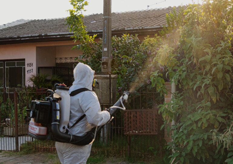 CANOAS: Prefeitura vai criar comitê de enfrentamento ao mosquito da dengue