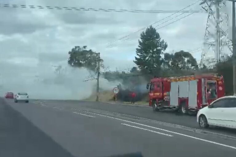 CANOAS: Bombeiros combatem incêndio em terreno na BR-116