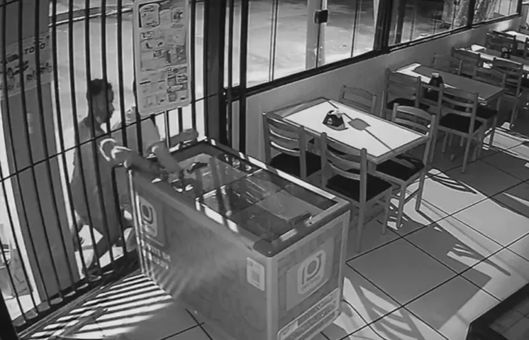 VÍDEO: Dupla furta sorvetes de padaria