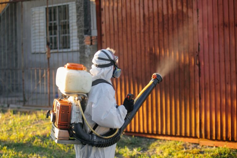 CANOAS: Prefeitura decreta situação de emergência por causa da dengue; Cidade tem mais de mil casos confirmados