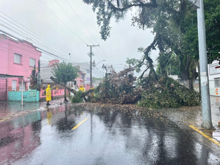 CANOAS: Árvore cai e bloqueia avenida; Saiba onde