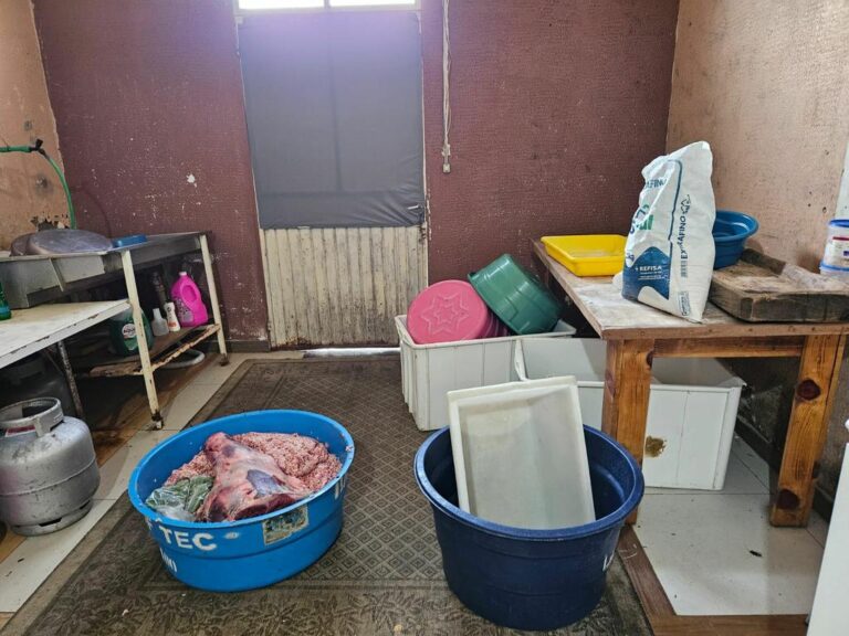 FLAGRANTE: Açougue é interditado por vender carne vencida e com baratas
