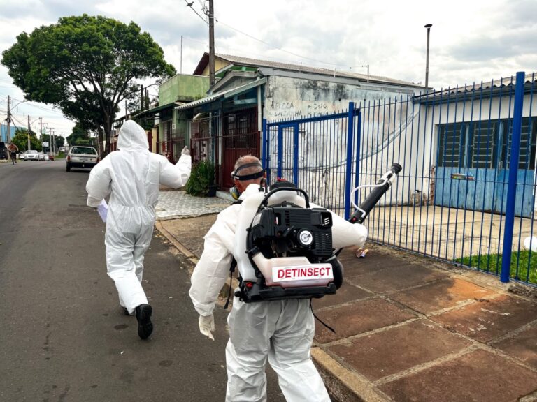 Dengue em Canoas: Cidade tem quase 3,5 mil casos confirmados