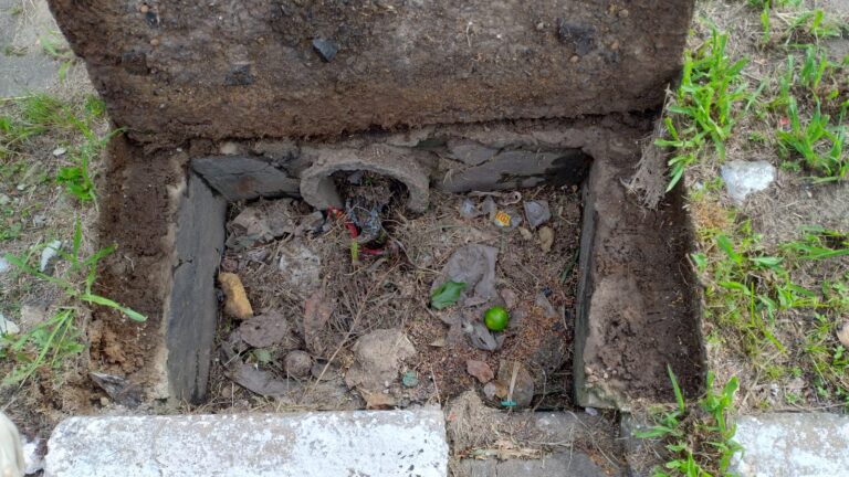 LIMPEZA DE BOCAS DE LOBO