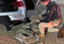 transportando drogas em meio a doações