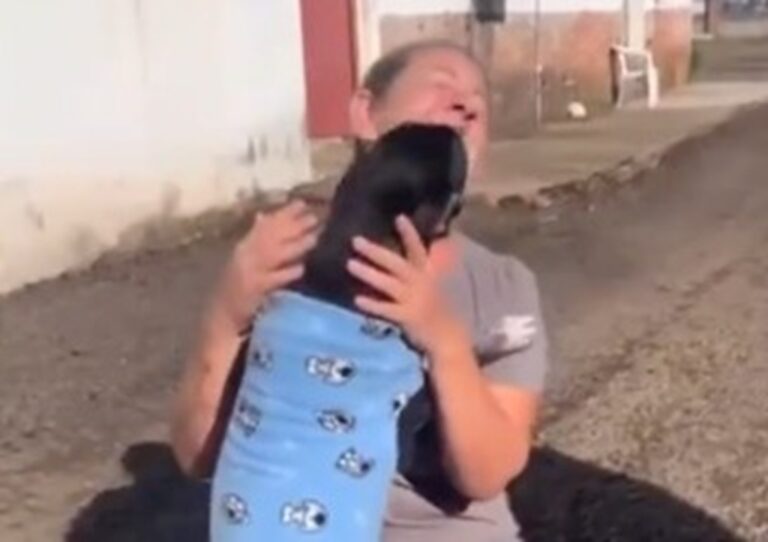 Enchente em Canoas: Após ser resgatado em enchente e não parar de chorar, cãozinho reencontra tutora