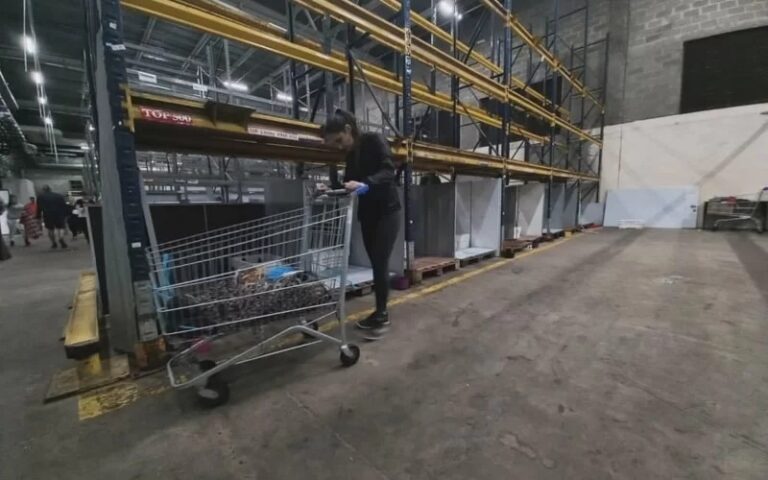 Prédio do Carrefour vira abrigo para cães resgatados na enchente