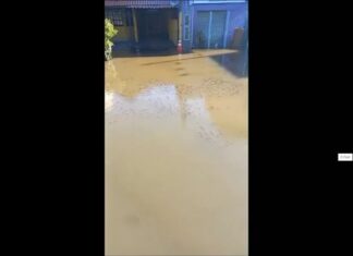 Um vídeo publicado nas redes sociais mostram cardumes de peixes nadando pelas ruas do bairro Harmonia. O local foi um dos fortementes atingidos pela enchente em Canoas.