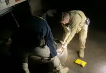 Motorista que transportava doações para o Rio Grande do Sul é preso com 50kg de crack e cocaína. Ele foi encaminhado à Polícia Federal.