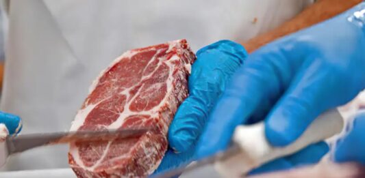 Empresas do setor de proteína animal irão doar 2 milhões de quilos de carne bovina, suína e de frango aos afetados pela enchente no RS
