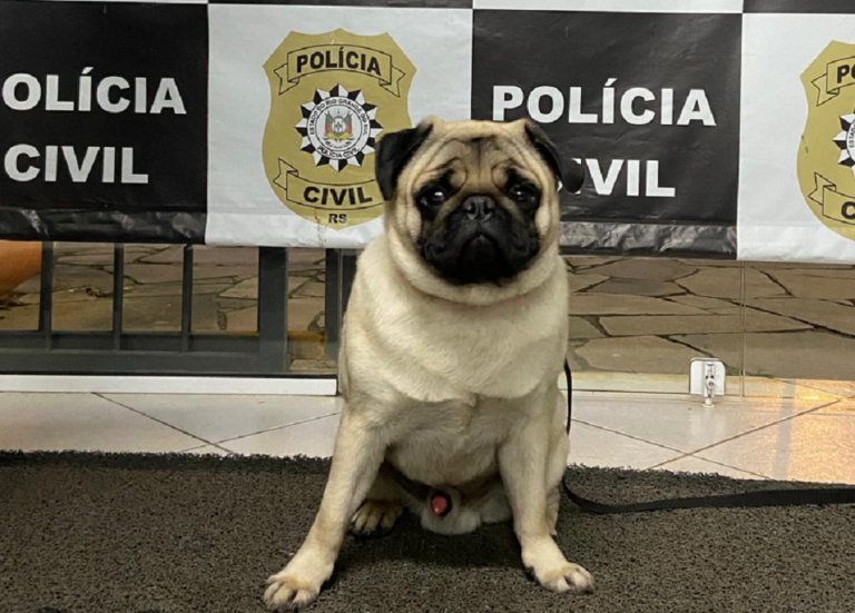 Uma mulher foi presa pelos agentes da 3ª Delegacia de Polícia após exigir dinheiro para devolver um cachorro em Canoas.