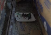 O supermercado, que foi interditado no bairro Mathias Velho, em Canoas, nesta quinta-feira (27), tinha veneno de rato ao lado de alimentos. Aliás, o flagrante ocorreu em uma ação conjunta do Procon, Vigilância Sanitária e Guarda Municipal.
