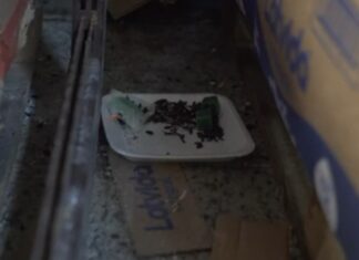O supermercado, que foi interditado no bairro Mathias Velho, em Canoas, nesta quinta-feira (27), tinha veneno de rato ao lado de alimentos. Aliás, o flagrante ocorreu em uma ação conjunta do Procon, Vigilância Sanitária e Guarda Municipal.