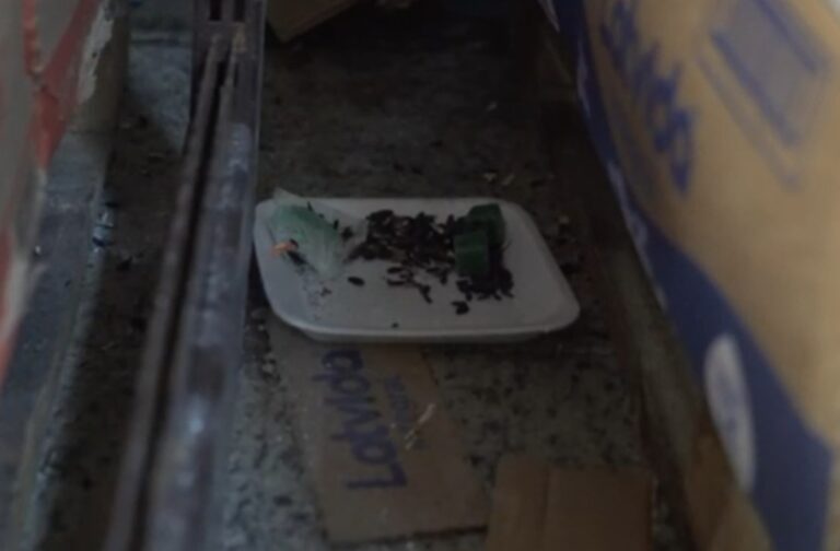 O supermercado, que foi interditado no bairro Mathias Velho, em Canoas, nesta quinta-feira (27), tinha veneno de rato ao lado de alimentos. Aliás, o flagrante ocorreu em uma ação conjunta do Procon, Vigilância Sanitária e Guarda Municipal.