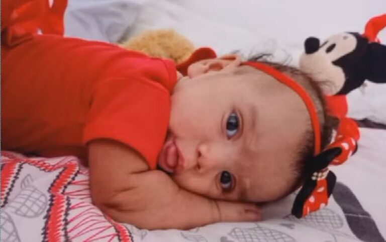 Um bebê de cinco meses morreu após ser atacado por um cachorro, na última terça-feira (4) no Distrito Federal. 