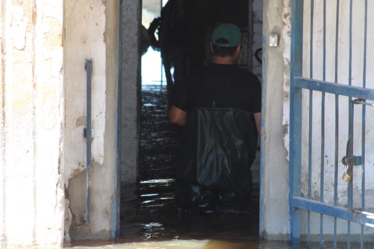 auxílio empresários