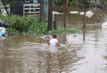 fogões e geladeiras em Canoas