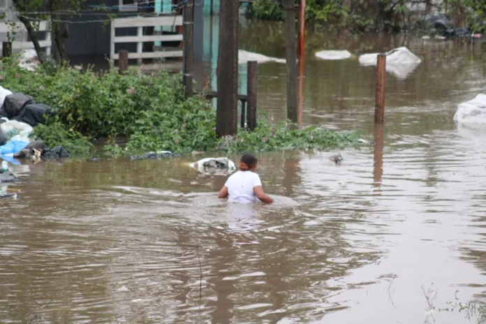 fogões e geladeiras em Canoas