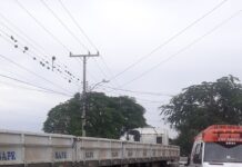 Um idoso foi atropelado por um caminhão em Canoas. O acidente foi na manhã desta quarta-feira (3) no bairro Niterói.