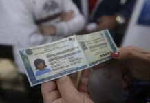 Nova carteira de identidade pode ser emitida de graça