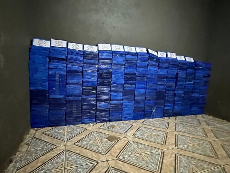 É estimado em mais de R$ 15 milhões o prejuízo do crime organizado com a apreensão de meia tonelada de maconha em Canoas.