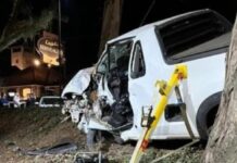 homem morre após bater em árvore