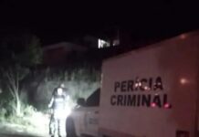 Uma mulher foi encontrada morta em uma área de mata na noite da última terça-feira (2). A ocorrência foi em Novo Hamburgo.