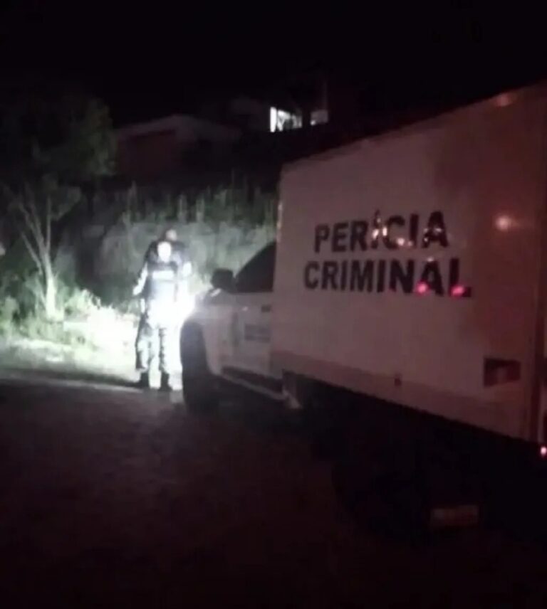 Uma mulher foi encontrada morta em uma área de mata na noite da última terça-feira (2). A ocorrência foi em Novo Hamburgo.